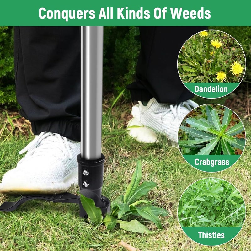 GOXAWEE Weed Puller Tool, 4-Claw Stand Up Weeder with Adjustable 46” Handle for Remove Weeds Without Bending, Pulling or Kneeling - Image 4